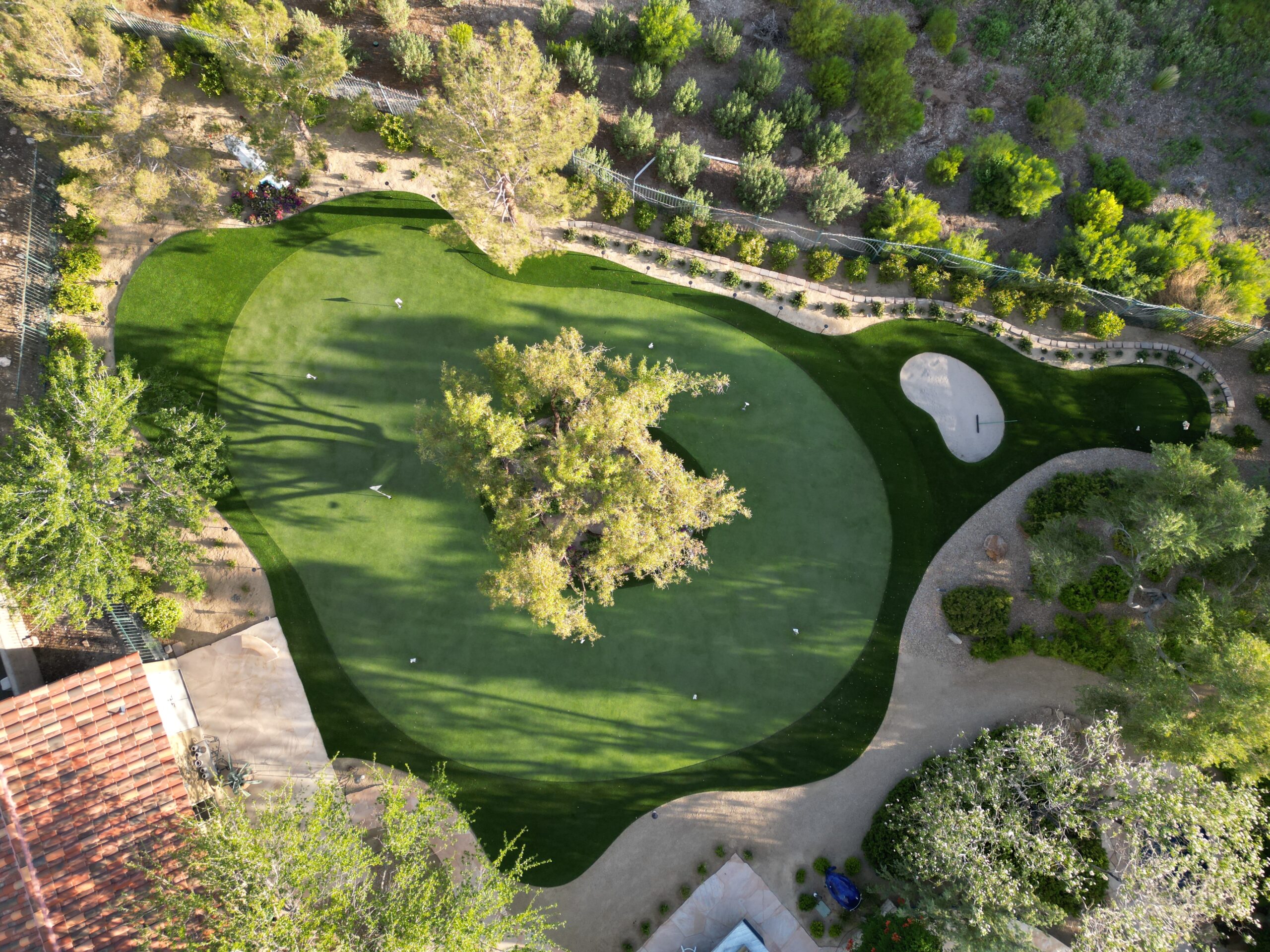 A bird 's eye view of a golf course with trees. A bird 's eye view of a golf course with trees.