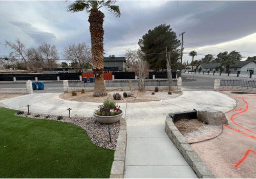 A palm tree in the middle of a park.