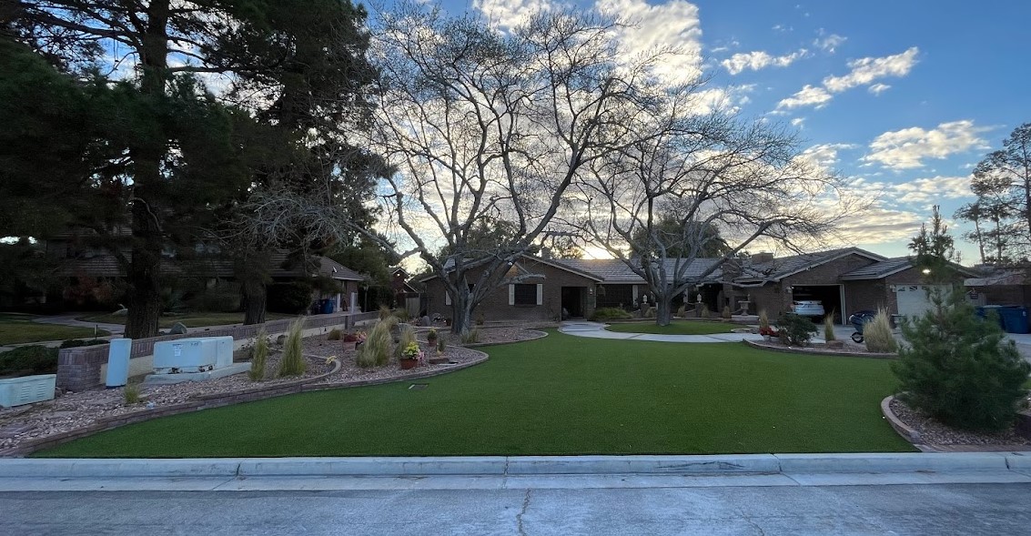 A view of a yard with trees and grass.