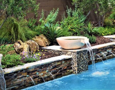 A bowl of water is in the middle of a pool.